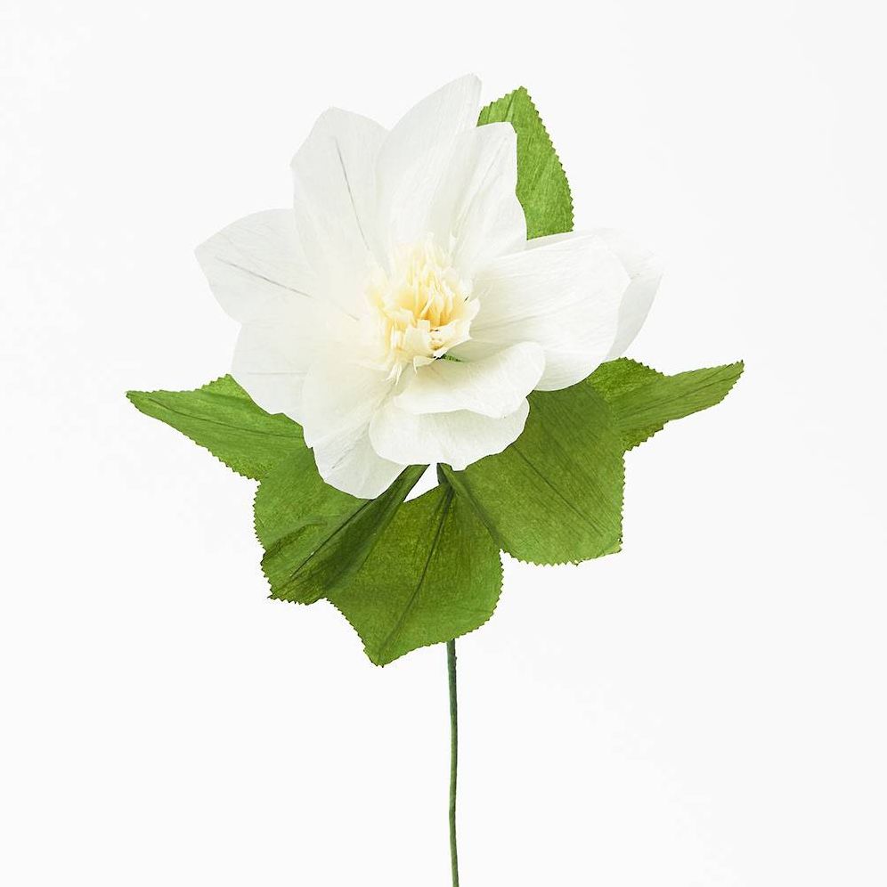 Christmas Rose Paper Flower