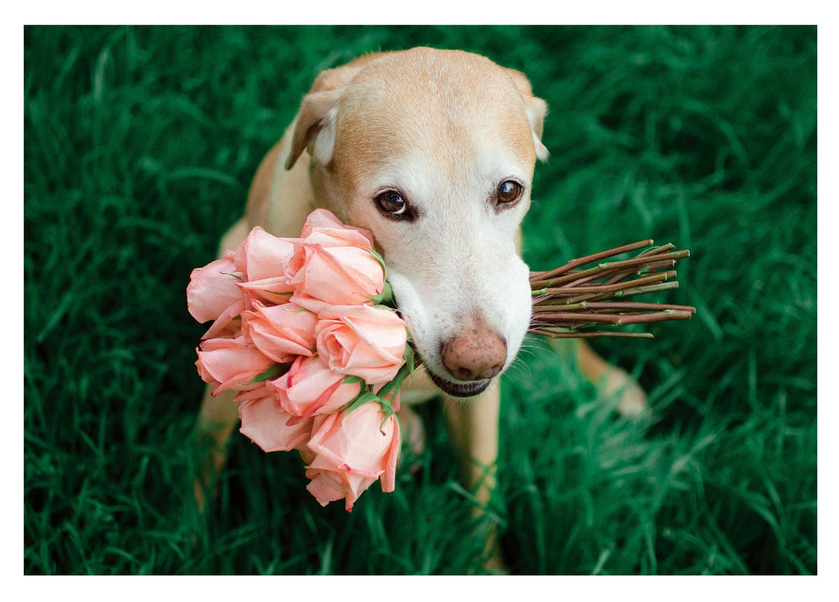 Mother's Day Greeting Card Dog With Flowers in Mouth