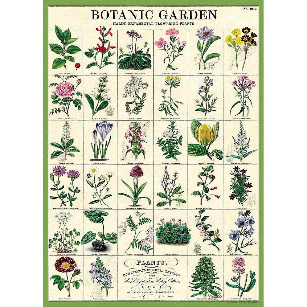 Botanic Garden Wrap & Poster