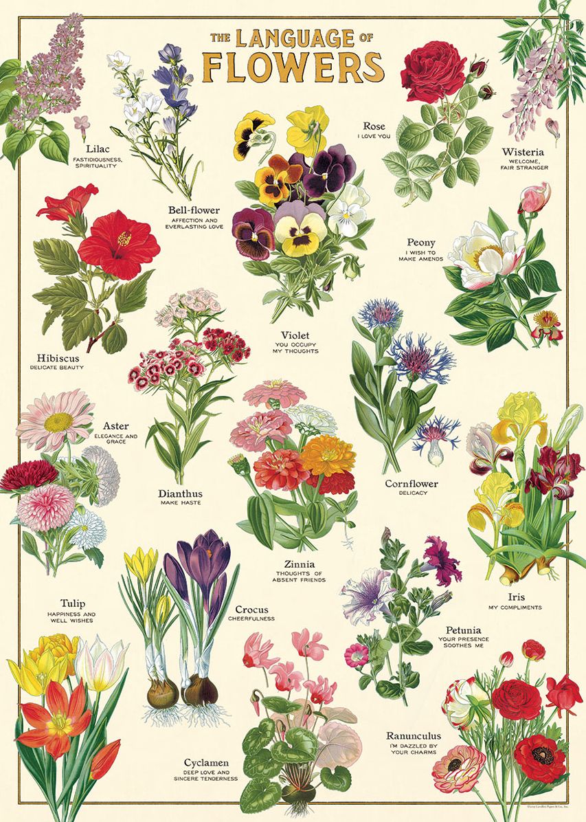 Language of Flowers Wrap
