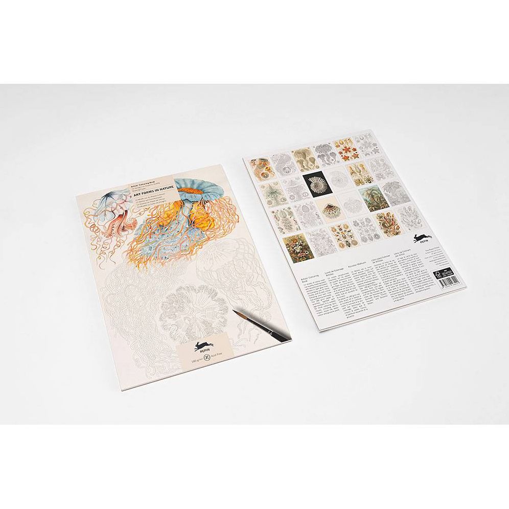 Art Forms in Nature (New edition) - Artists' Colouring Book