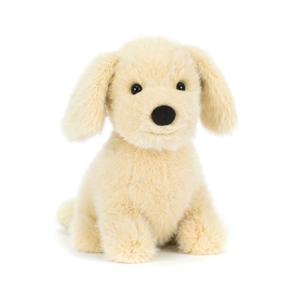 Golden Puppy
