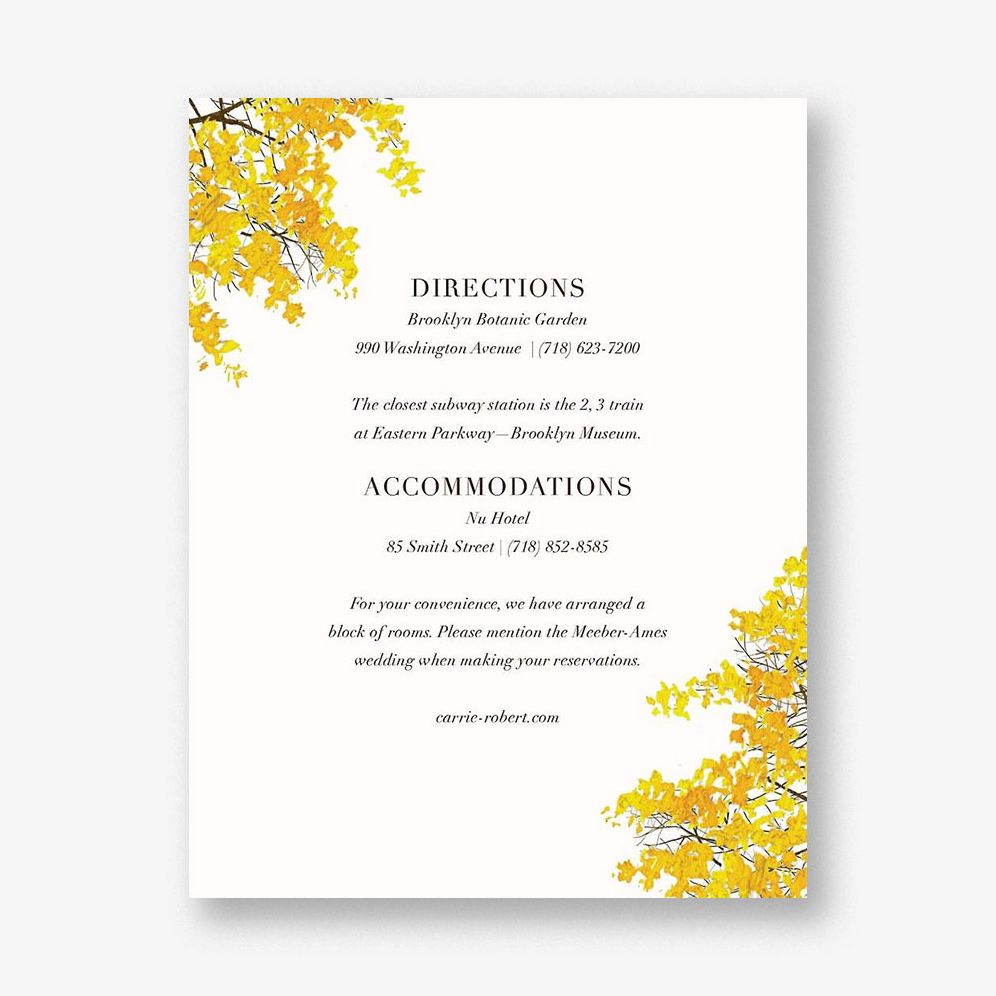 Buckhannon Information Card