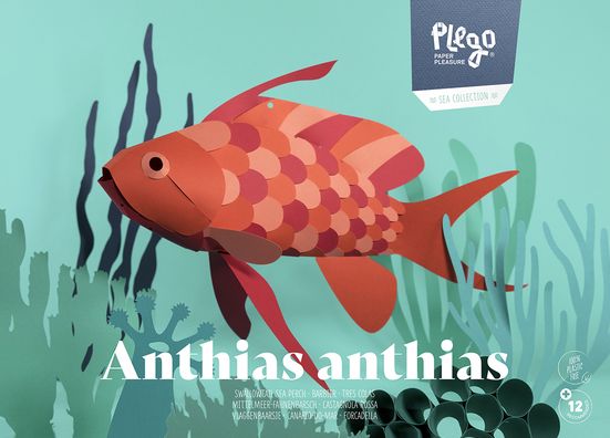 Swallow Sea Perch Fish - 3D Paper Figure - DIY Craft Kit