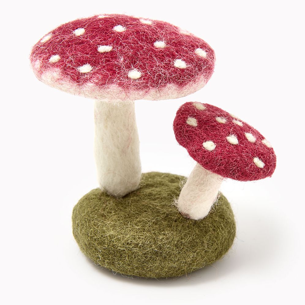 Felted Mushroom