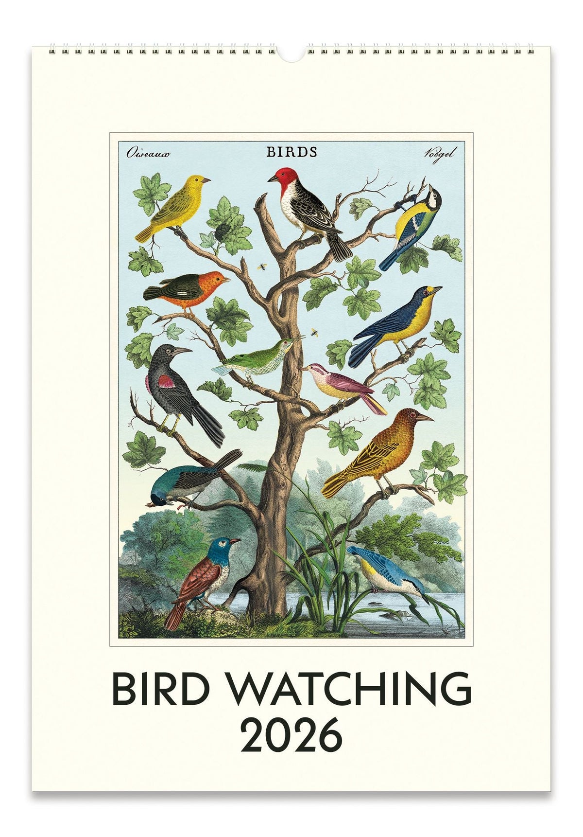 2026 Bird Watching Wall Calendar