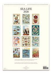 2026 Cavallini Sea Life Wall Calendar