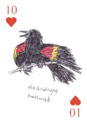 The Field Guide to Dumb Birds Playing Cards: 2-Deck Set